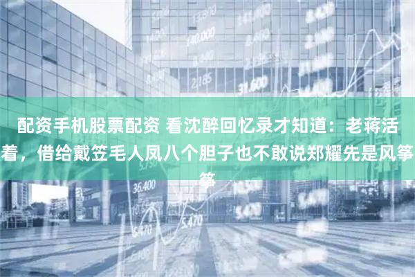 配资手机股票配资 看沈醉回忆录才知道：老蒋活着，借给戴笠毛人凤八个胆子也不敢说郑耀先是风筝