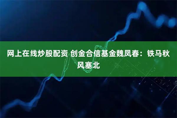 网上在线炒股配资 创金合信基金魏凤春:铁马秋风塞北